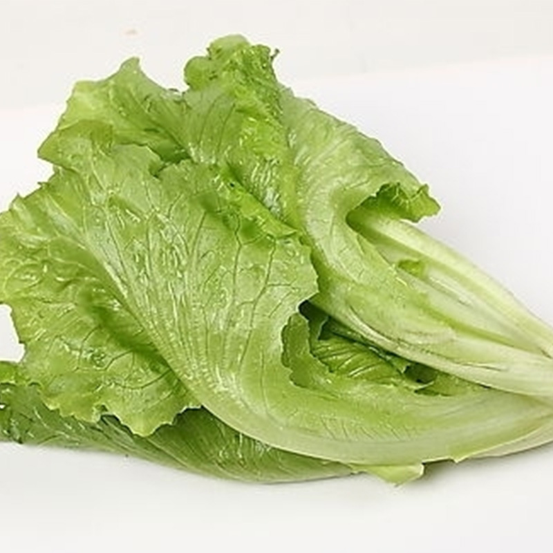 Dehydrated lettuce Dehydrated lettuce