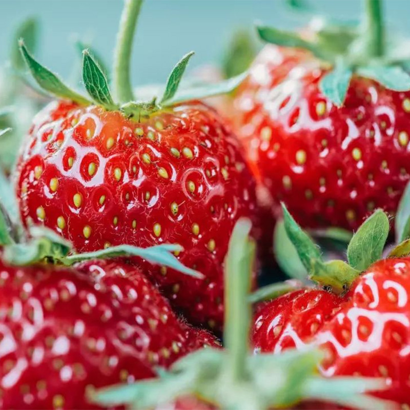 Strawberry Powder Strawberry Powder