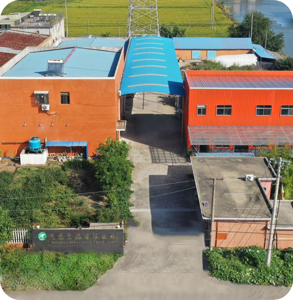 Xinghua Maosheng Food Co, Ltd.