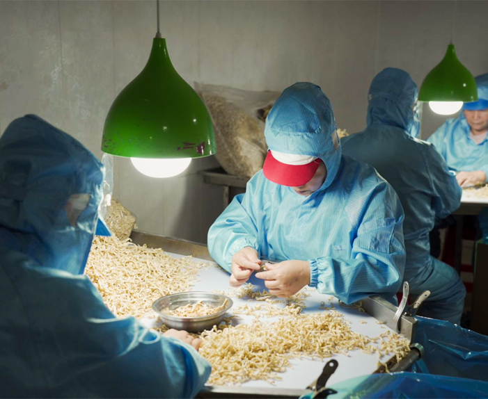 Xinghua Maosheng Food Co, Ltd.