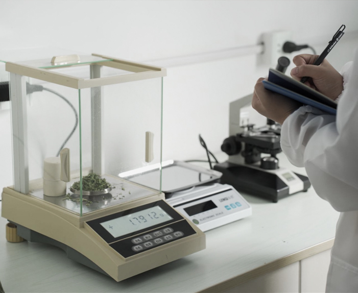 Xinghua Maosheng Food Co, Ltd.