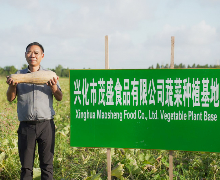 Xinghua Maosheng Food Co, Ltd.