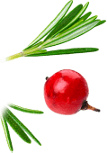 Xinghua Maosheng Food Co, Ltd.